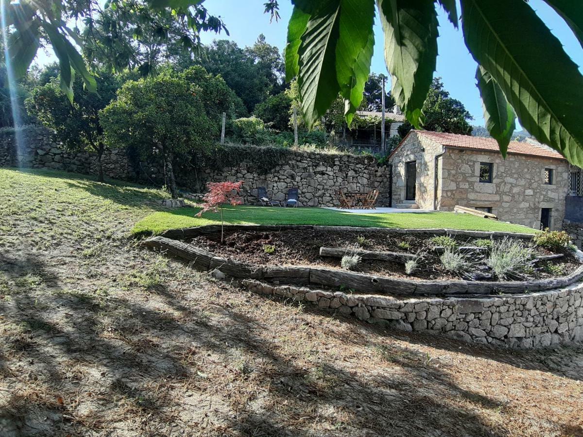 River House Sejaes Oliveira de Frades Exteriér fotografie