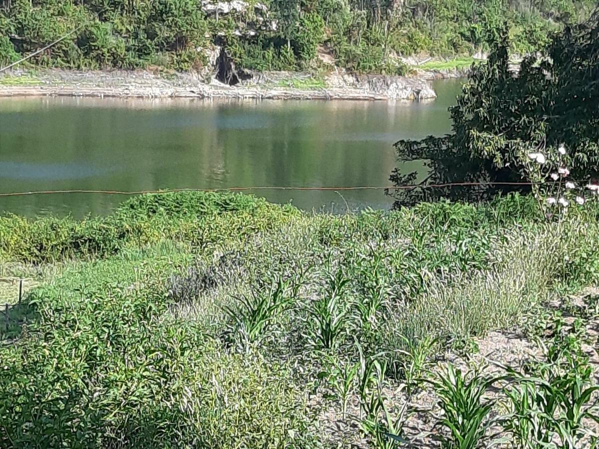 River House Sejaes Oliveira de Frades Exteriér fotografie