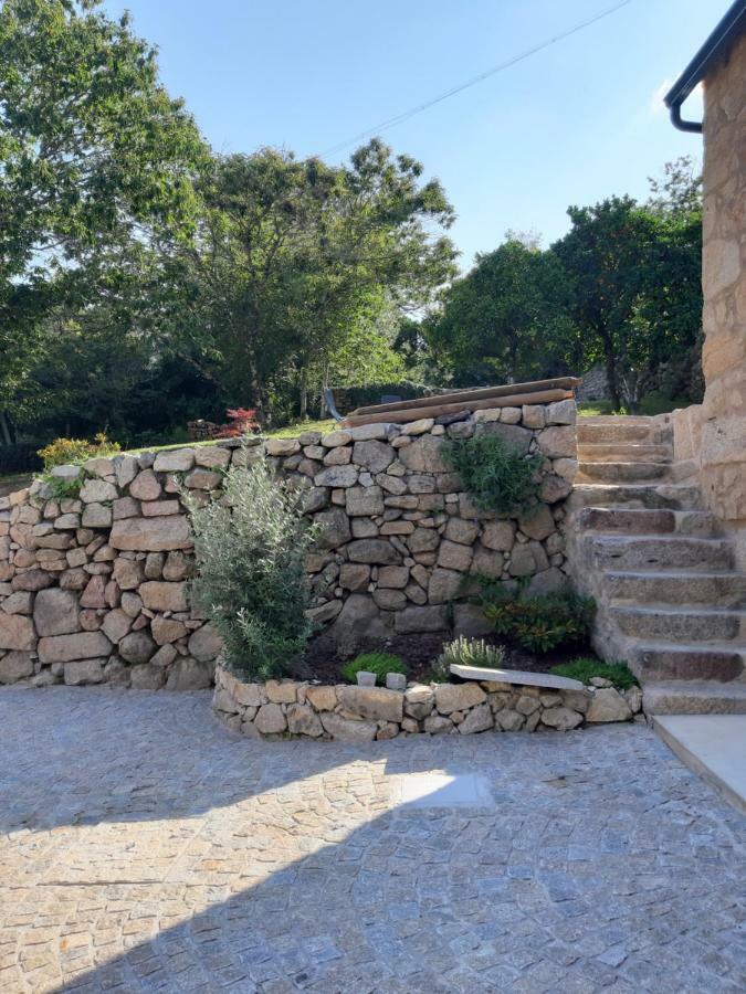 River House Sejaes Oliveira de Frades Exteriér fotografie