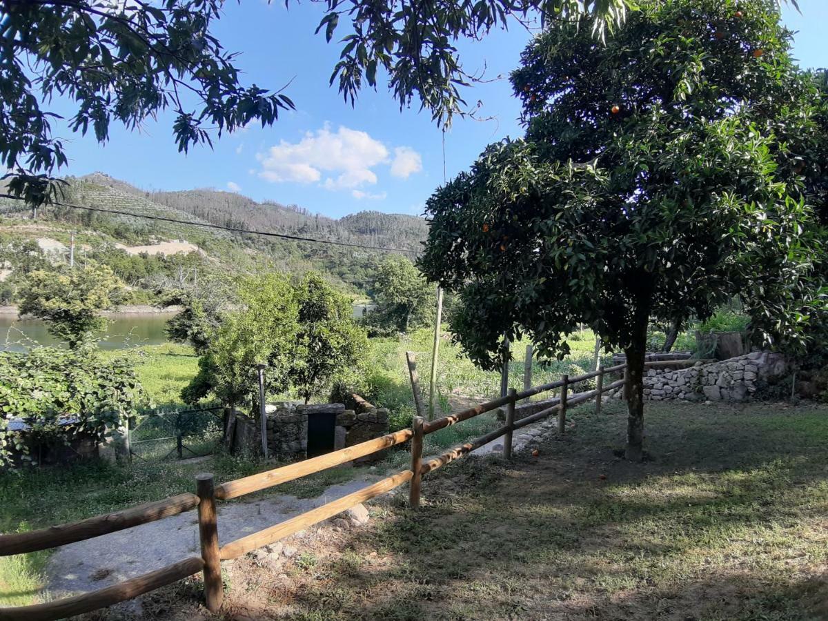 River House Sejaes Oliveira de Frades Exteriér fotografie